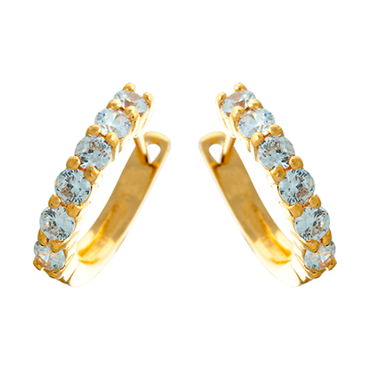 Picture of Classic Eternity Hoop Earrings Gold Plated