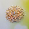 Picture of Large Sunshine Brooch Gold Plated