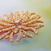 Picture of Large Sunshine Brooch Gold Plated