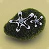 Picture of CZ Starfish Brooch Rhodium Plated Set