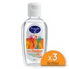 Picture of PurelyZ HAND SANITISER ( 3 bottles )