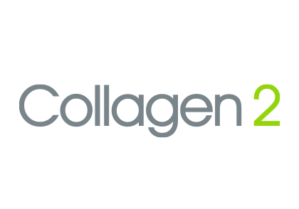collagen 2