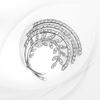 Picture of Elegant Swirl Laurel Leaf Brooch Rhodium Plated