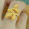 Picture of Gold Plated Ring Jewellery (RG5044)