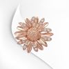 Picture of Mini Daisy Flower Brooch Rose Gold Plated