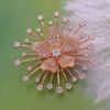 Picture of Blooming Orchid Flower Brooch Rose Gold Plated