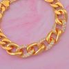 Picture of CZ Curb Chain Bracelet Gold Plated (Gajah Coco) (16.5cm)