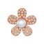 Picture of Rose Gold Plated Brooch Jewellery (KerongsangTurnera (Rose Gold)) (BH5043)