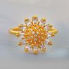 Picture of Gold Plated Ring Jewellery (RG5029)