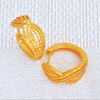 Picture of GOLD PLATED EARRING JEWELLERY (ER5079)