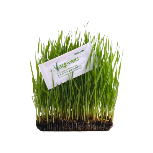 Picture of VEGI-VERA Botanical Beverage Mix Wheatgrass