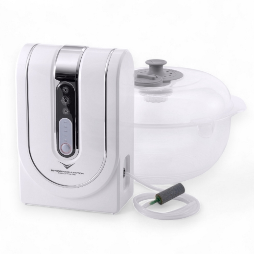 Picture of BEYOND FOOD JUNCTION Detoxifying Unit