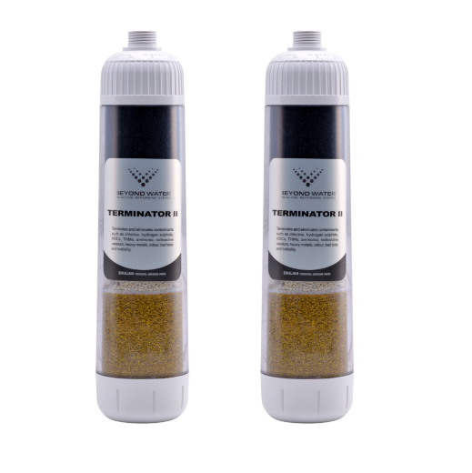 Picture of BEYOND WATER Bio-Active Reforming System
