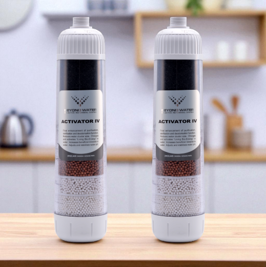 Picture of BEYOND WATER Bio-Active Reforming System