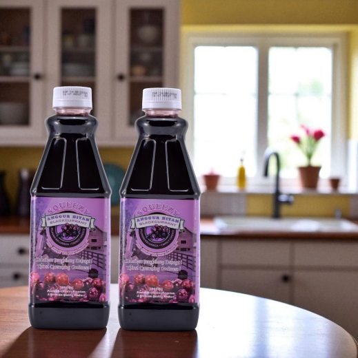 Picture of SQUEEZY Blackcurrant Cordial with Juice Concentrate