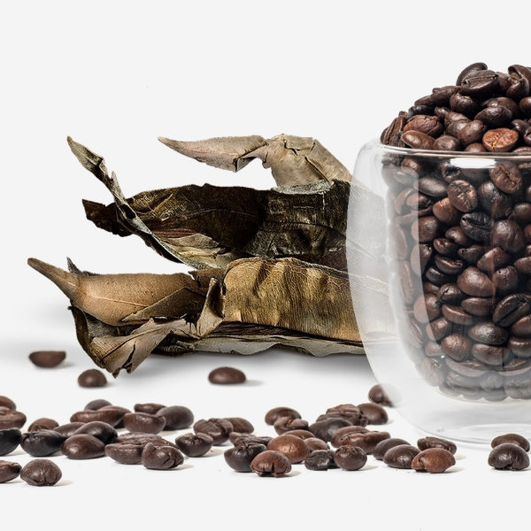 Ladies, Is Coffee Really Bad for You?