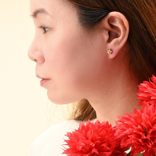 cz Star Stud Earrings for women