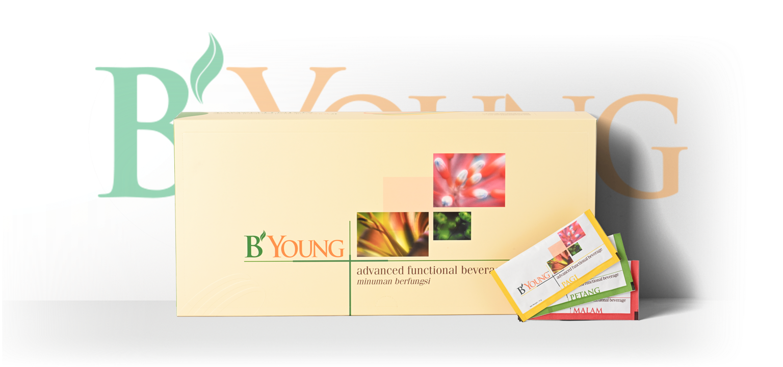 B'Young Maintenance Course