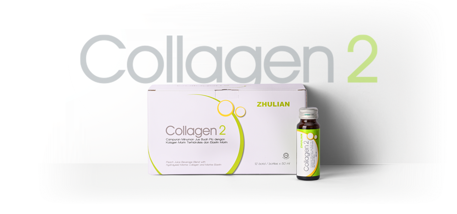 Collagen 2