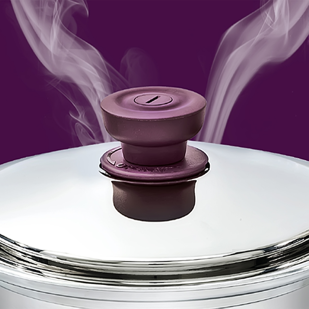 Intelligent Adjustable Steam
                        Regulator